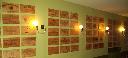 Ampliar