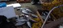 Μεγέθυνση