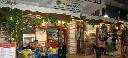 Μεγέθυνση
